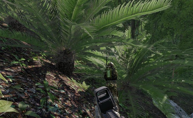 snapshot16